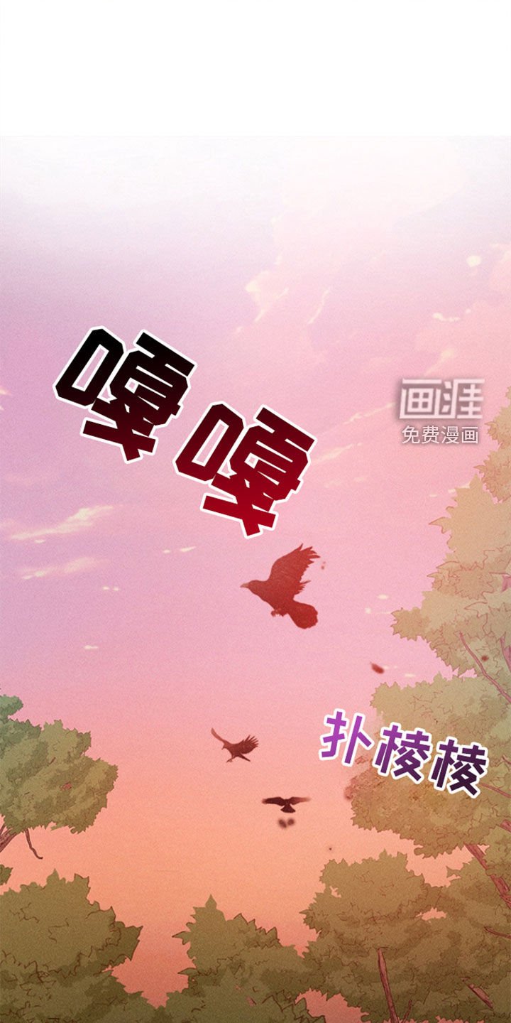第45章：寻找