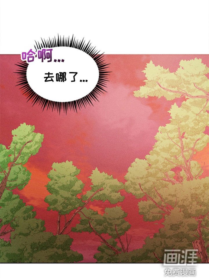 第45章：寻找