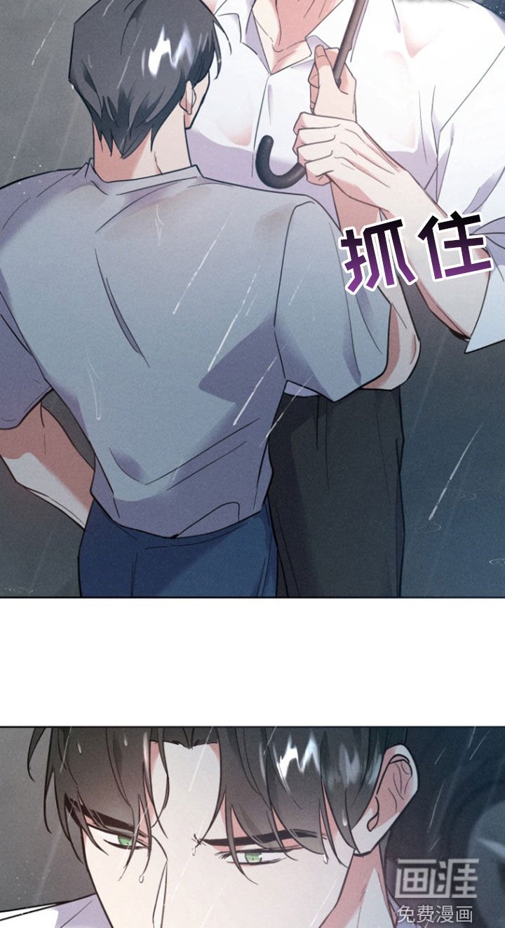 第60章：结束了