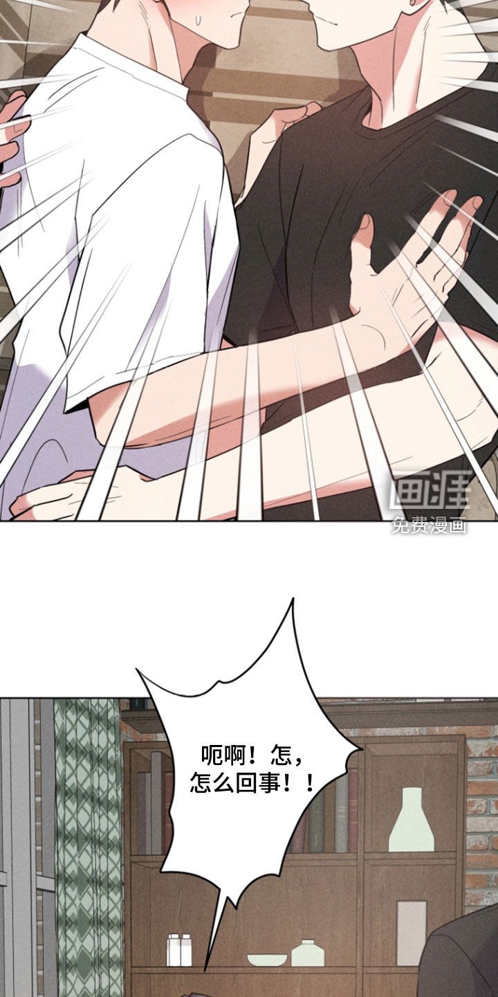 第63章：收留