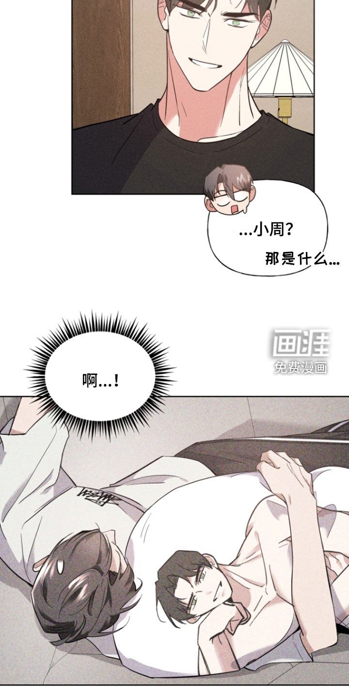 第63章：收留