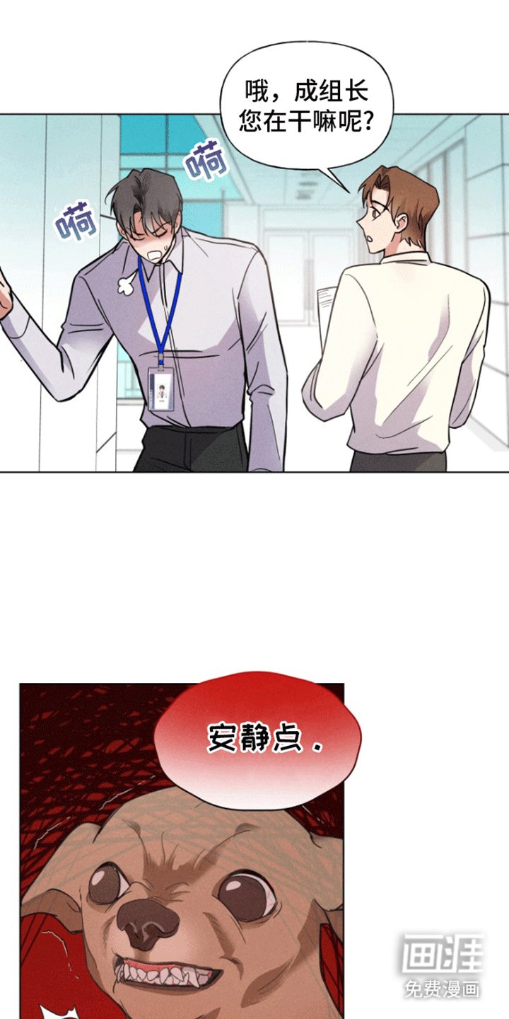 第8章：斗智斗勇