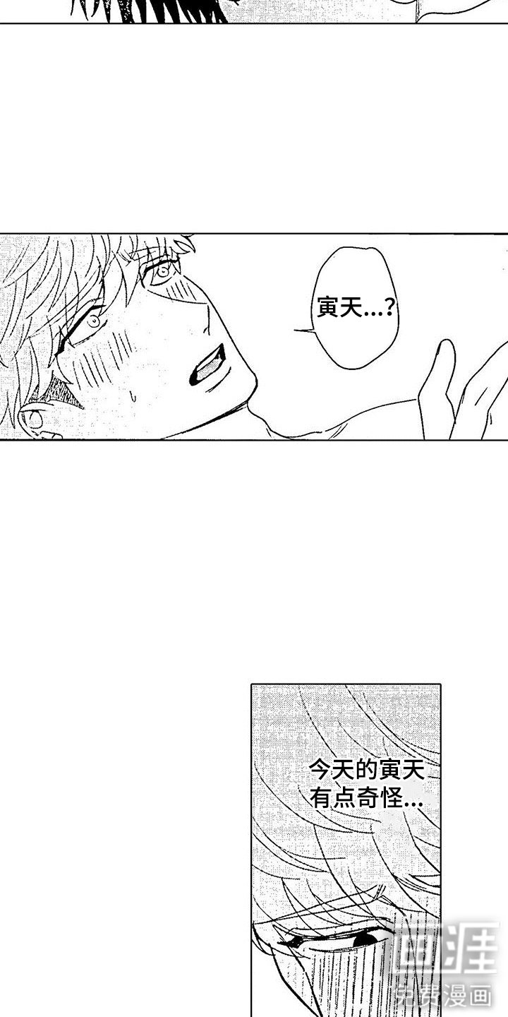 第12章：并不需要