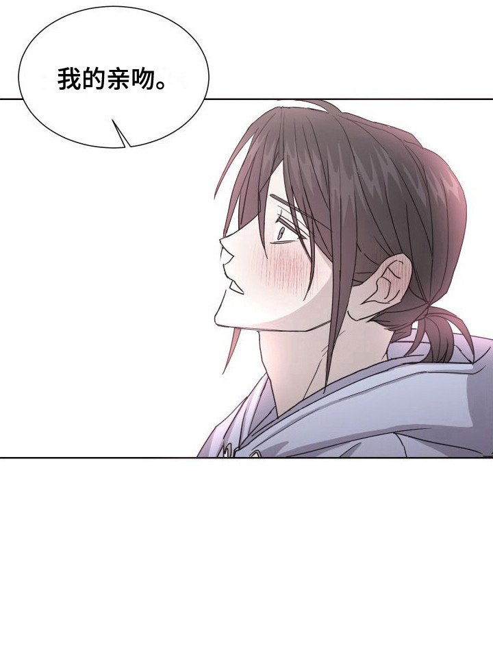 第11章：表白