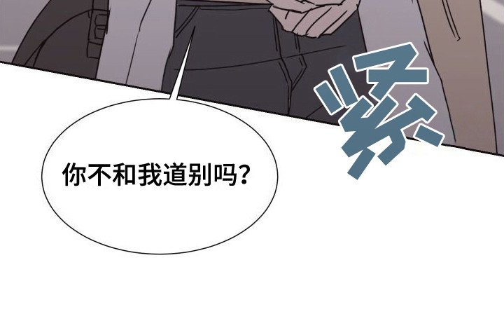第11章：表白