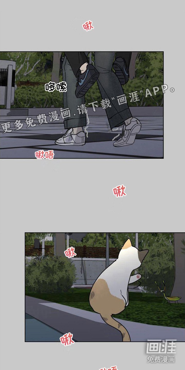 第12章：试试看