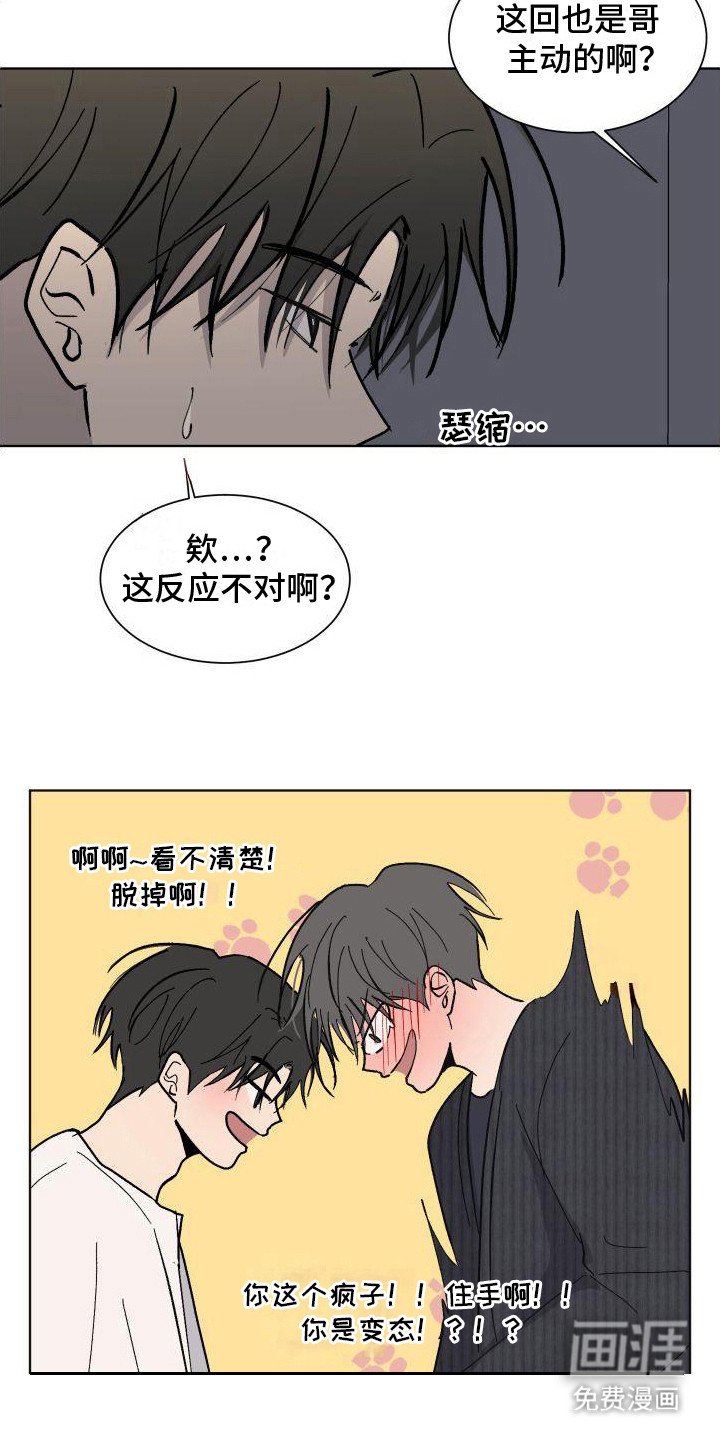 第12章：试试看