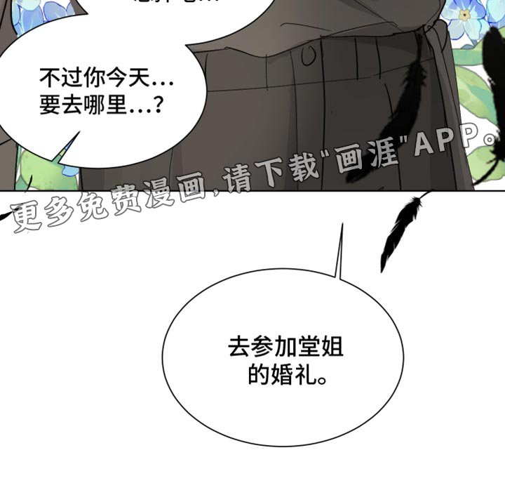 第13章：参加婚礼