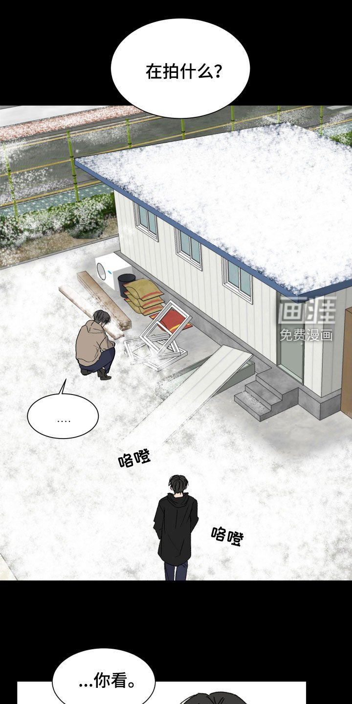 第19章：装可爱