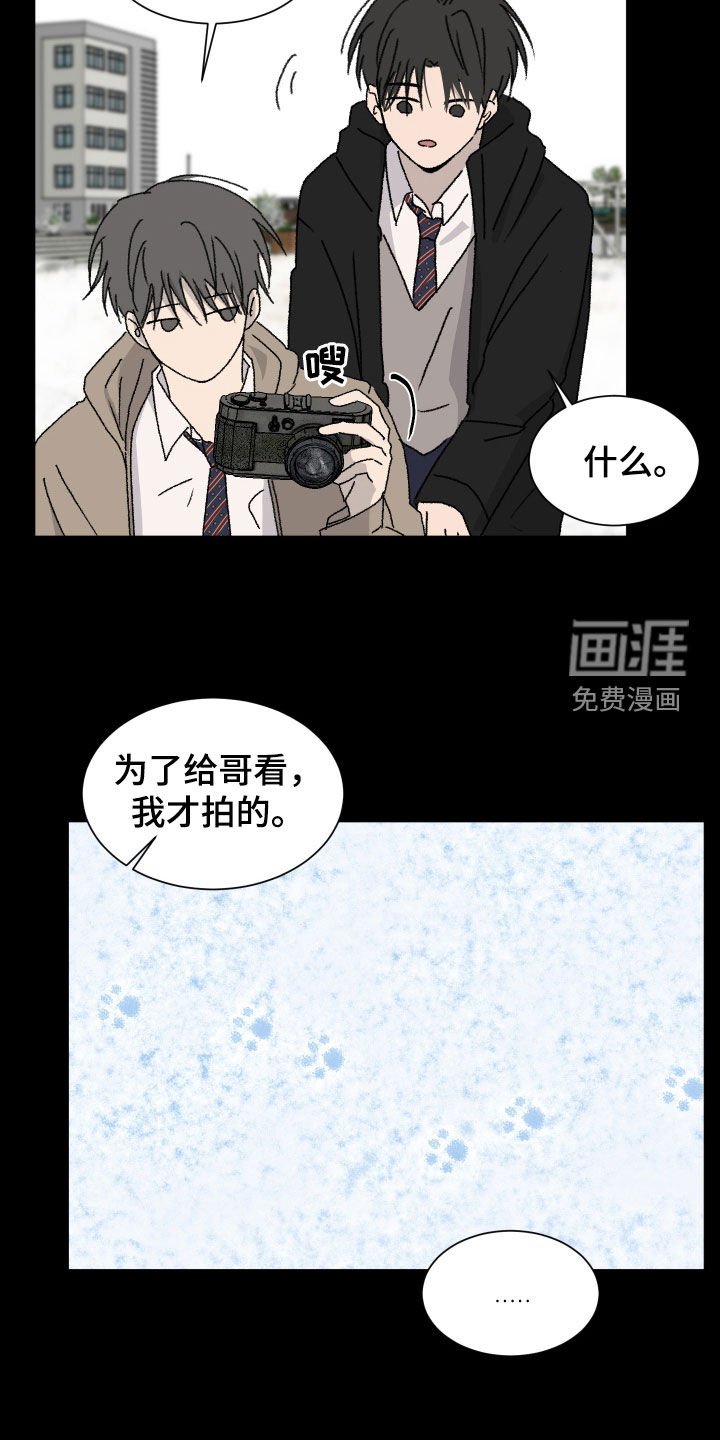 第19章：装可爱