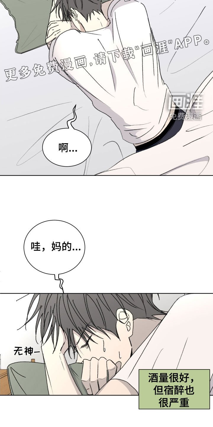 第20章：重新交往