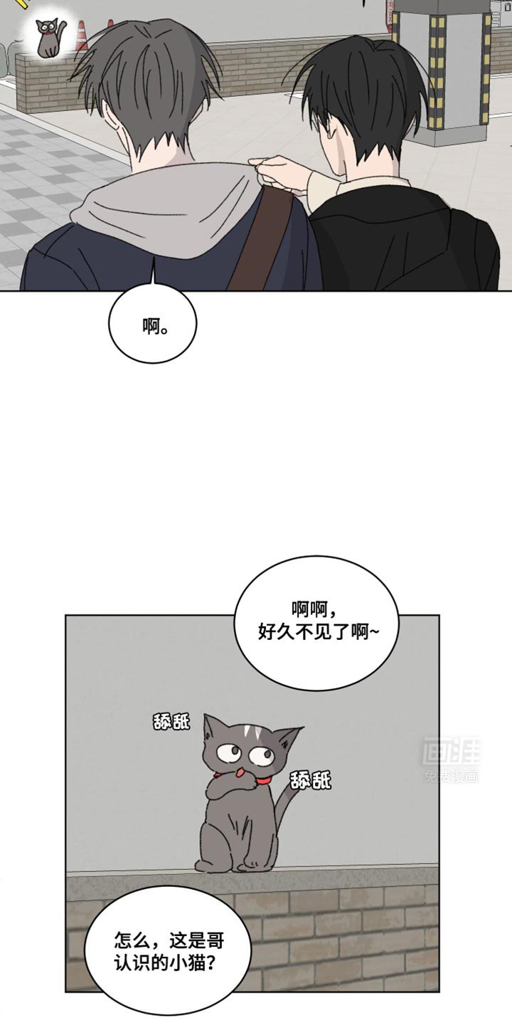 第38章：我们回家吧？