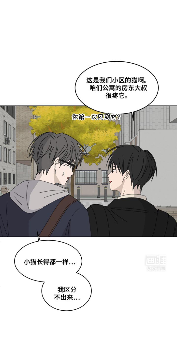 第38章：我们回家吧？