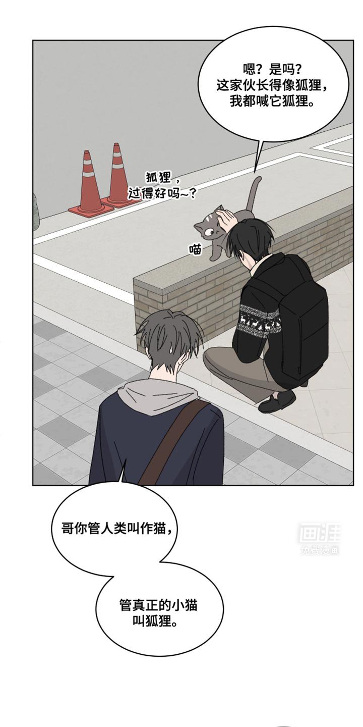 第38章：我们回家吧？