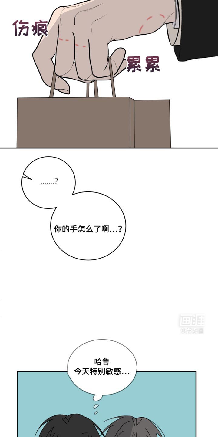 第38章：我们回家吧？