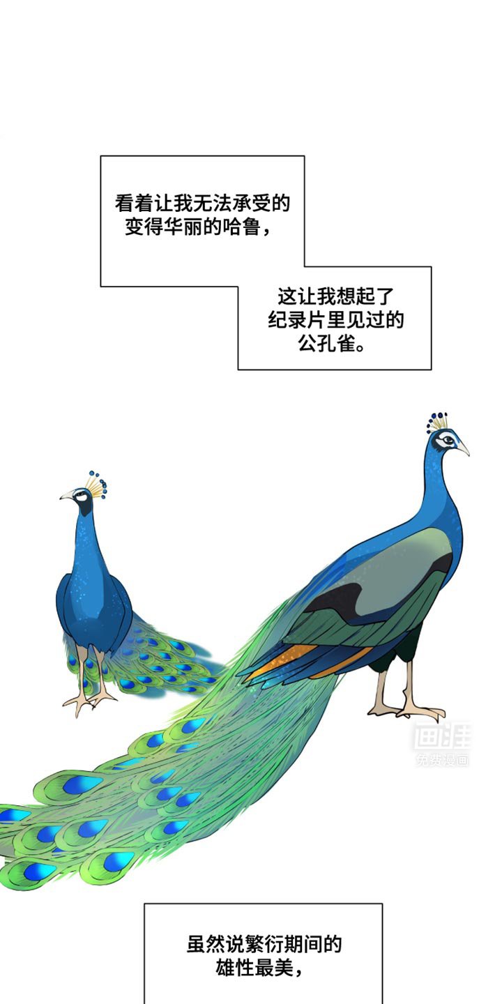 第42章：我想烤熟你