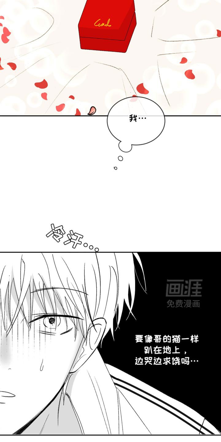 第55章：【第二季】我做错了