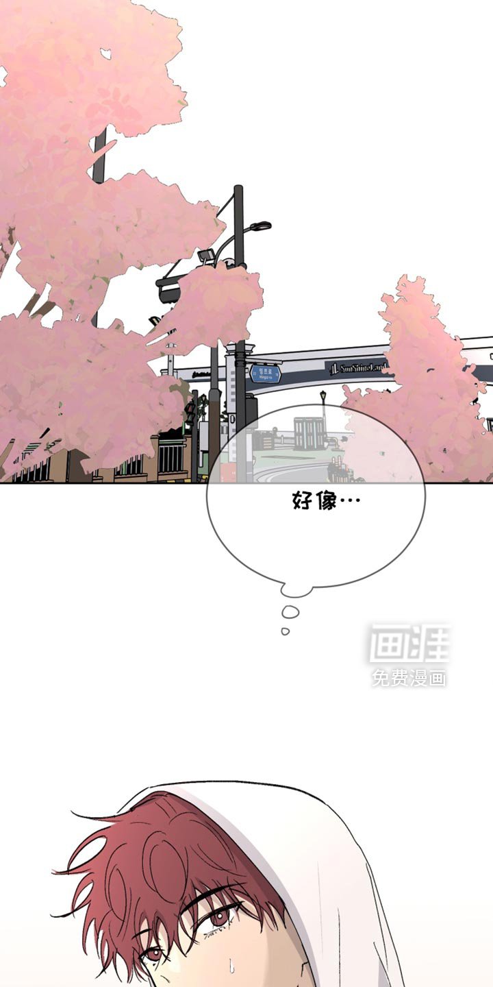 第61章：【第二季】意图太明显了