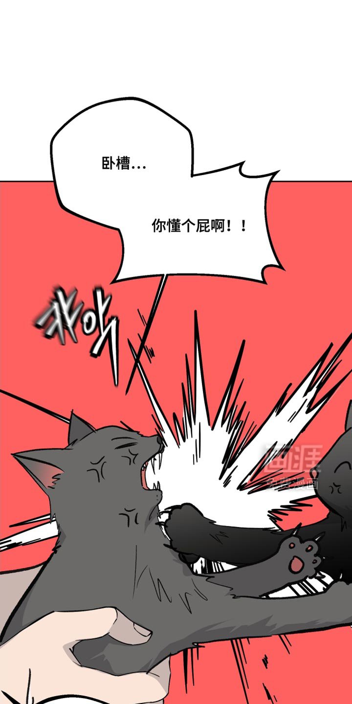 第80章：【第二季】很好的意见