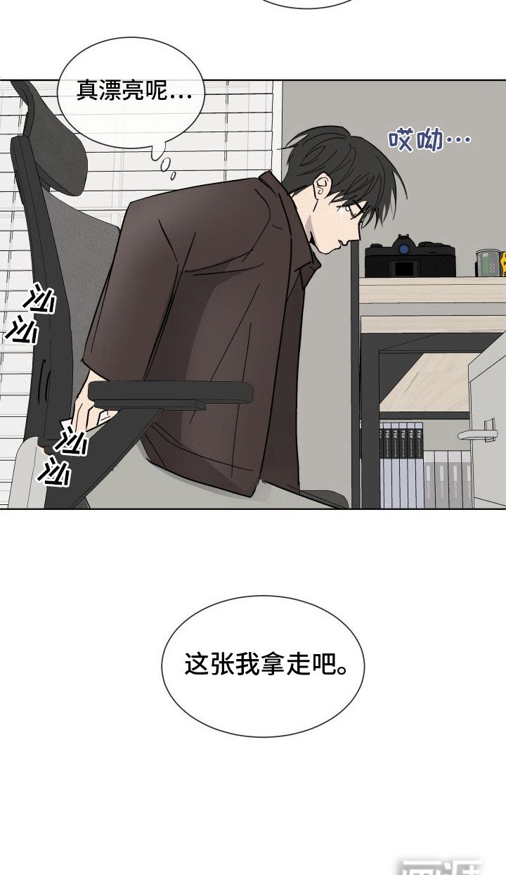 第9章：照片