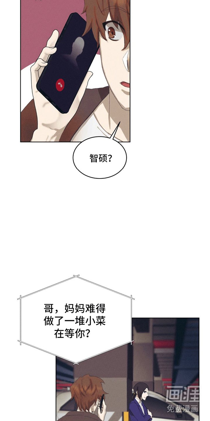 第11章：领养
