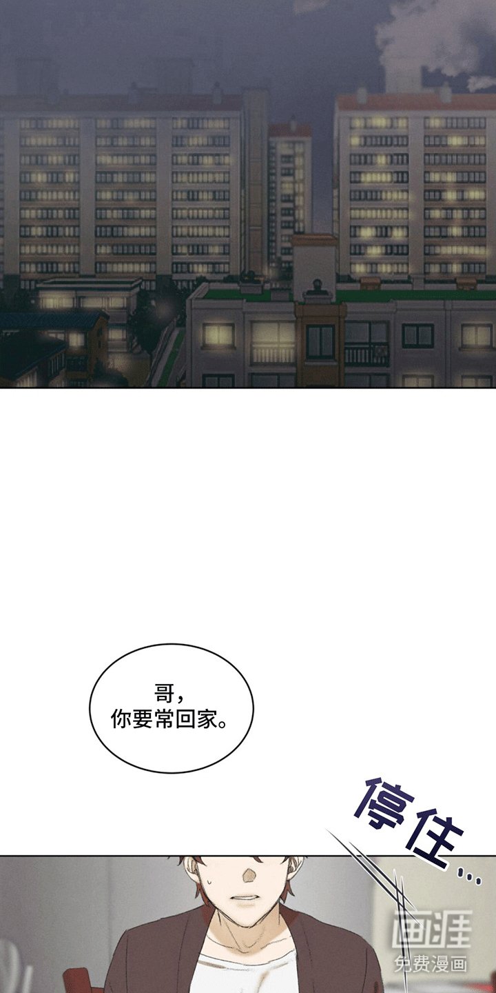 第11章：领养