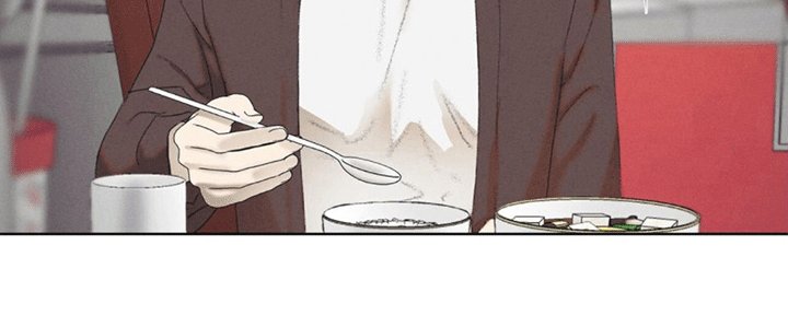 第11章：领养