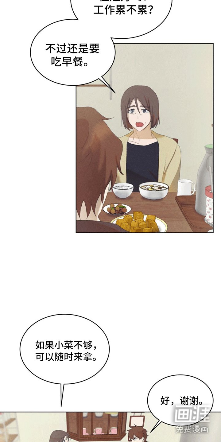 第11章：领养