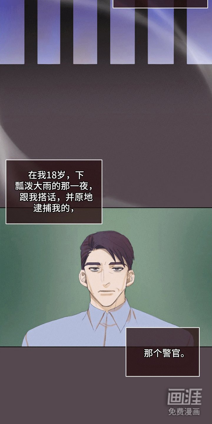第11章：领养