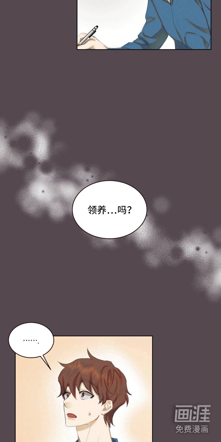 第11章：领养