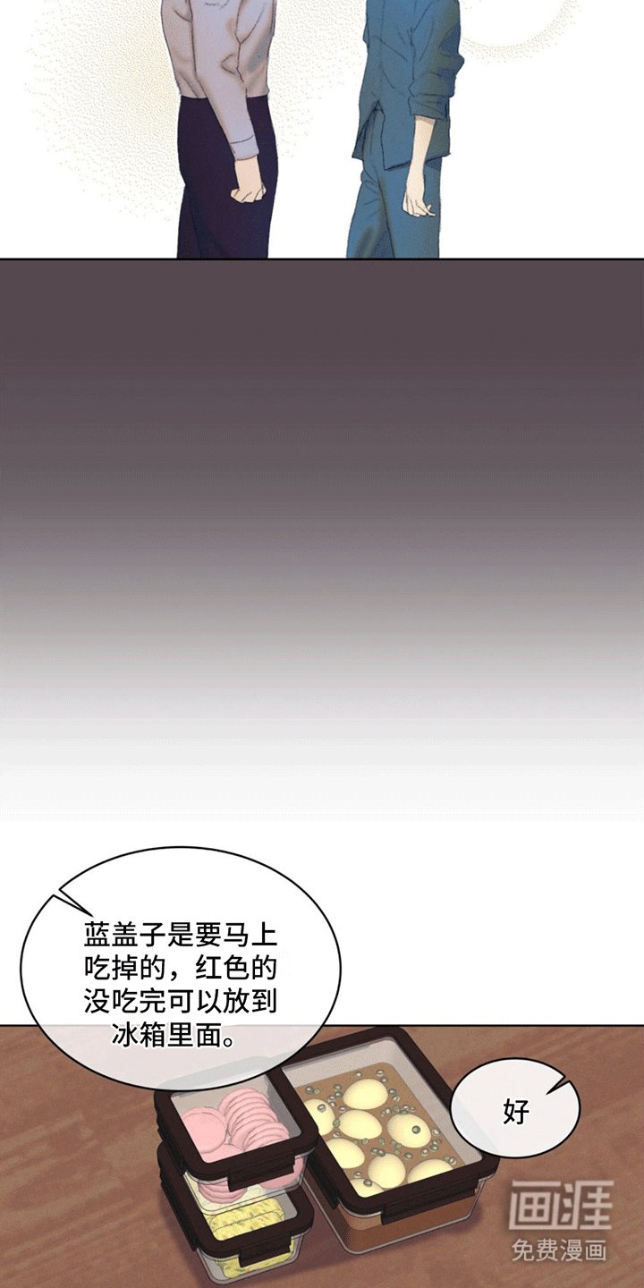 第11章：领养