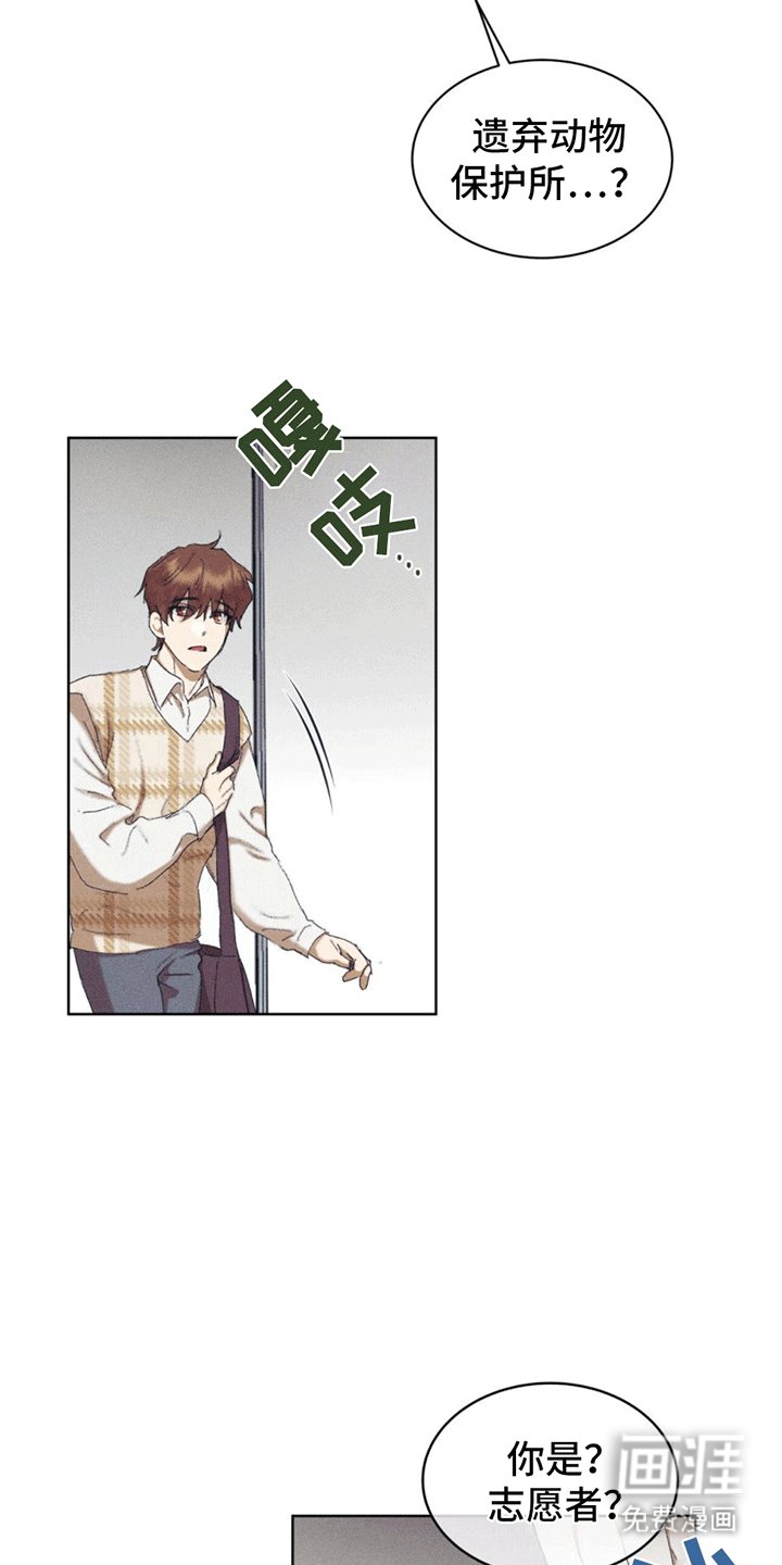 第13章：动物保护所