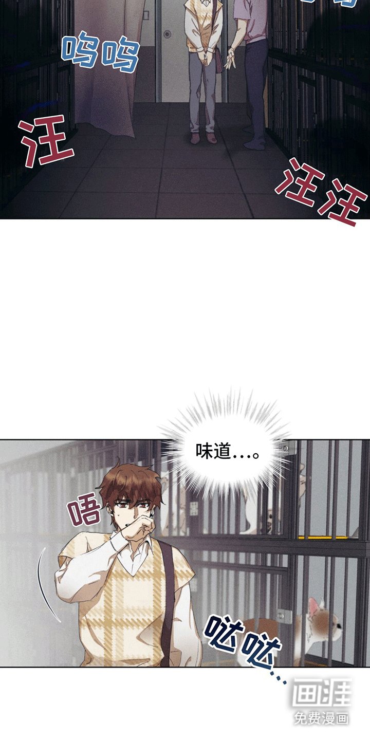 第13章：动物保护所