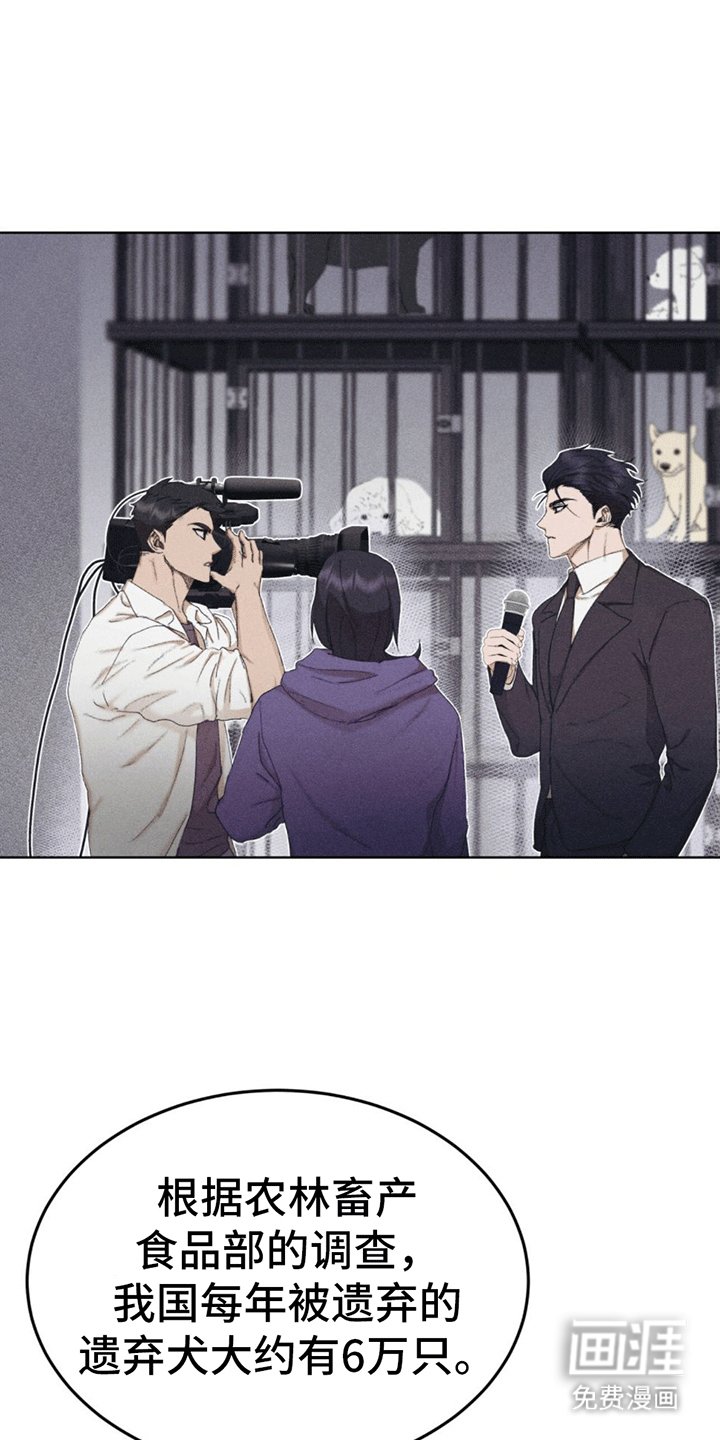 第13章：动物保护所