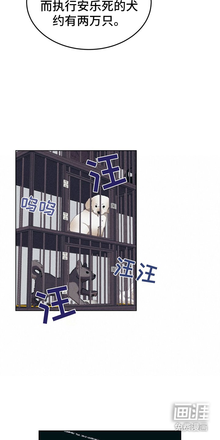 第13章：动物保护所
