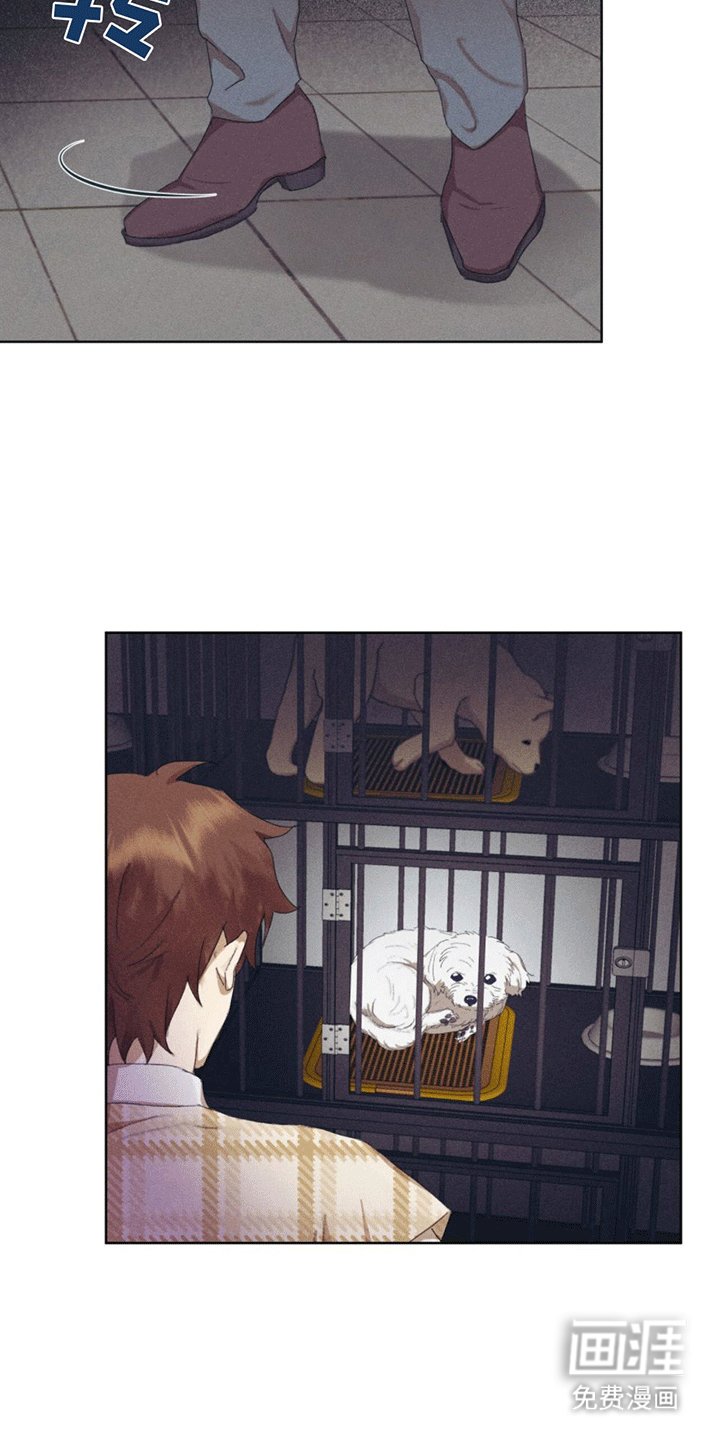 第13章：动物保护所