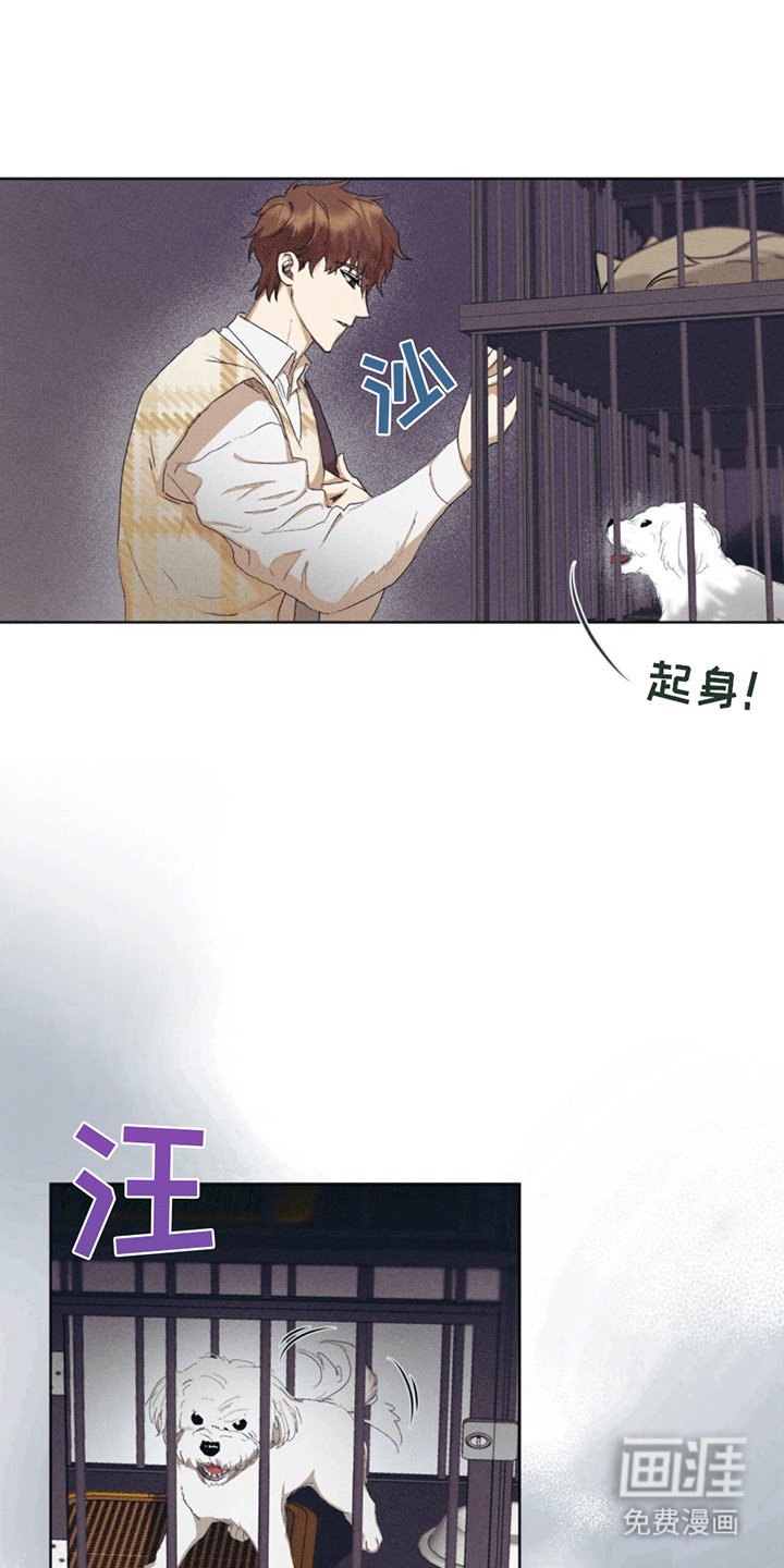 第13章：动物保护所