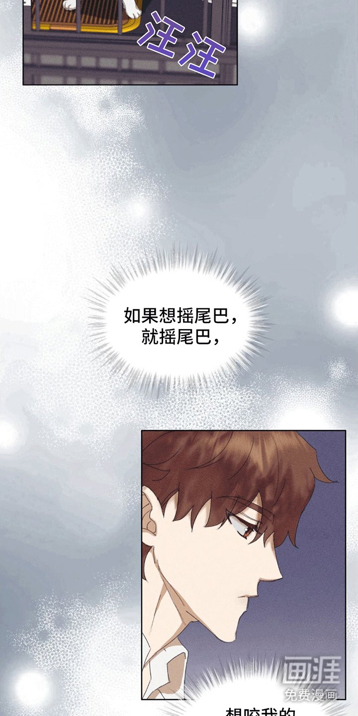 第13章：动物保护所