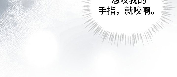 第13章：动物保护所