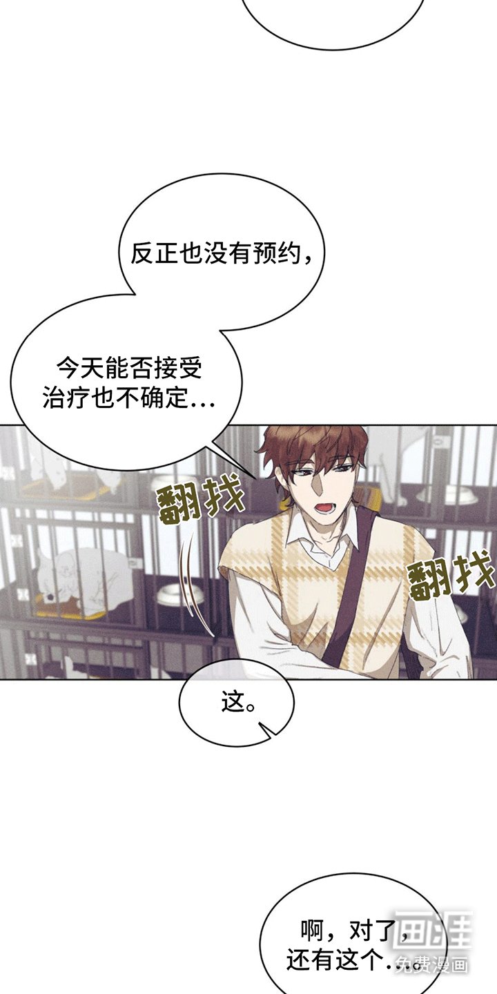 第13章：动物保护所