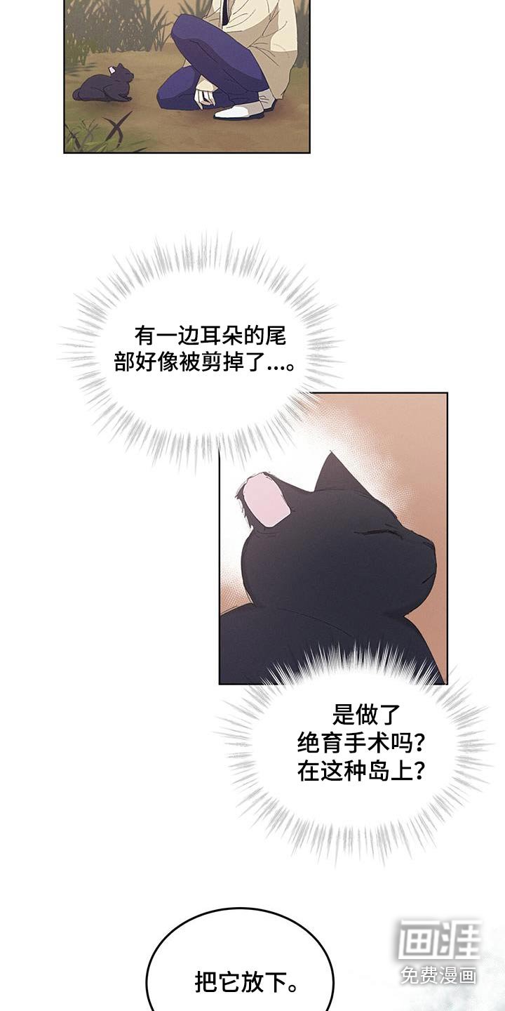 第38章：剪掉一角