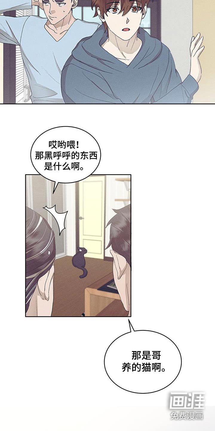 第48章：凄凉