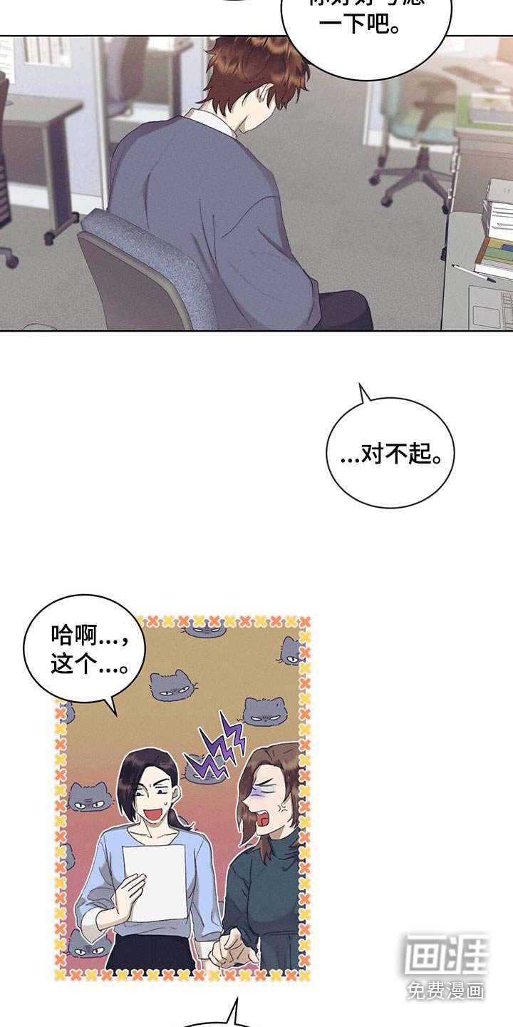 第55章：对不起