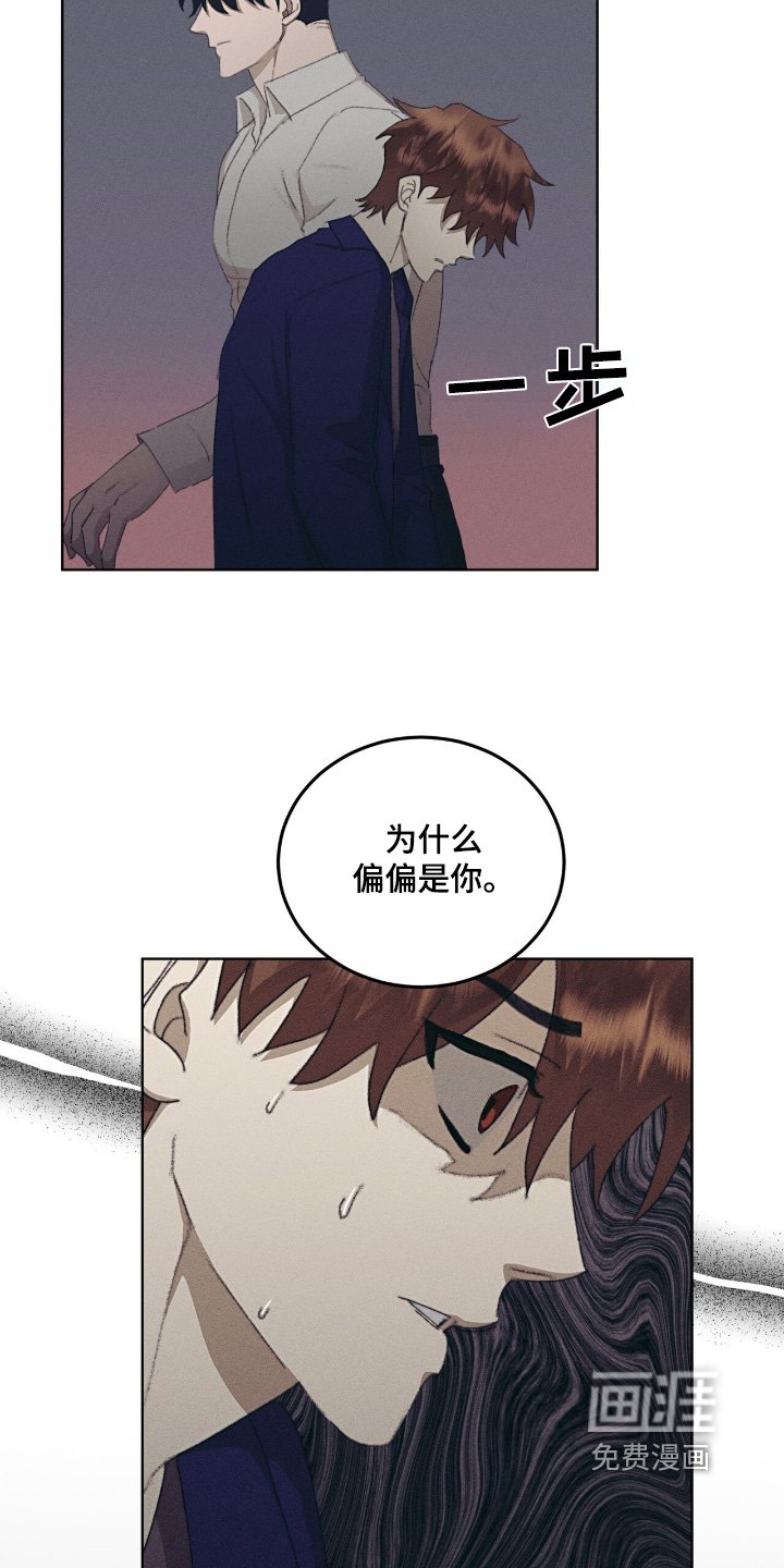 第65章：偏偏是你