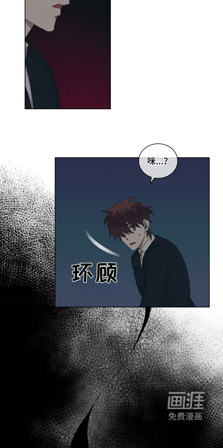 第70章：弟弟