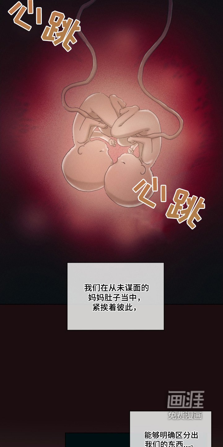 第71章：一样的脸