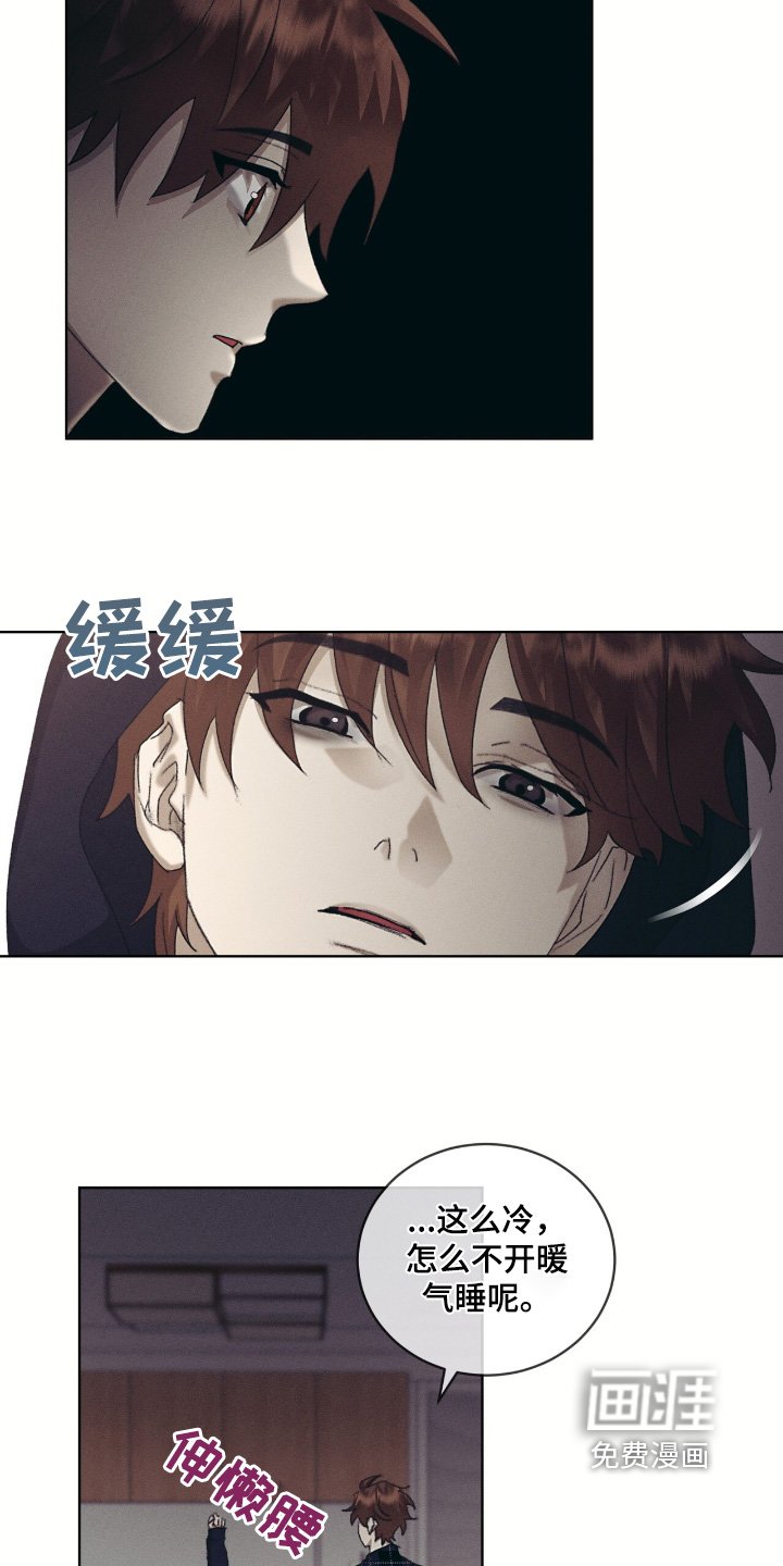 第71章：一样的脸