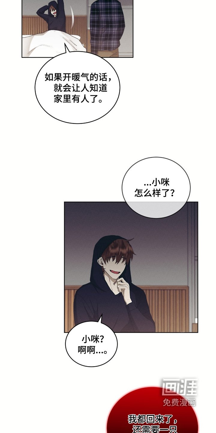 第71章：一样的脸