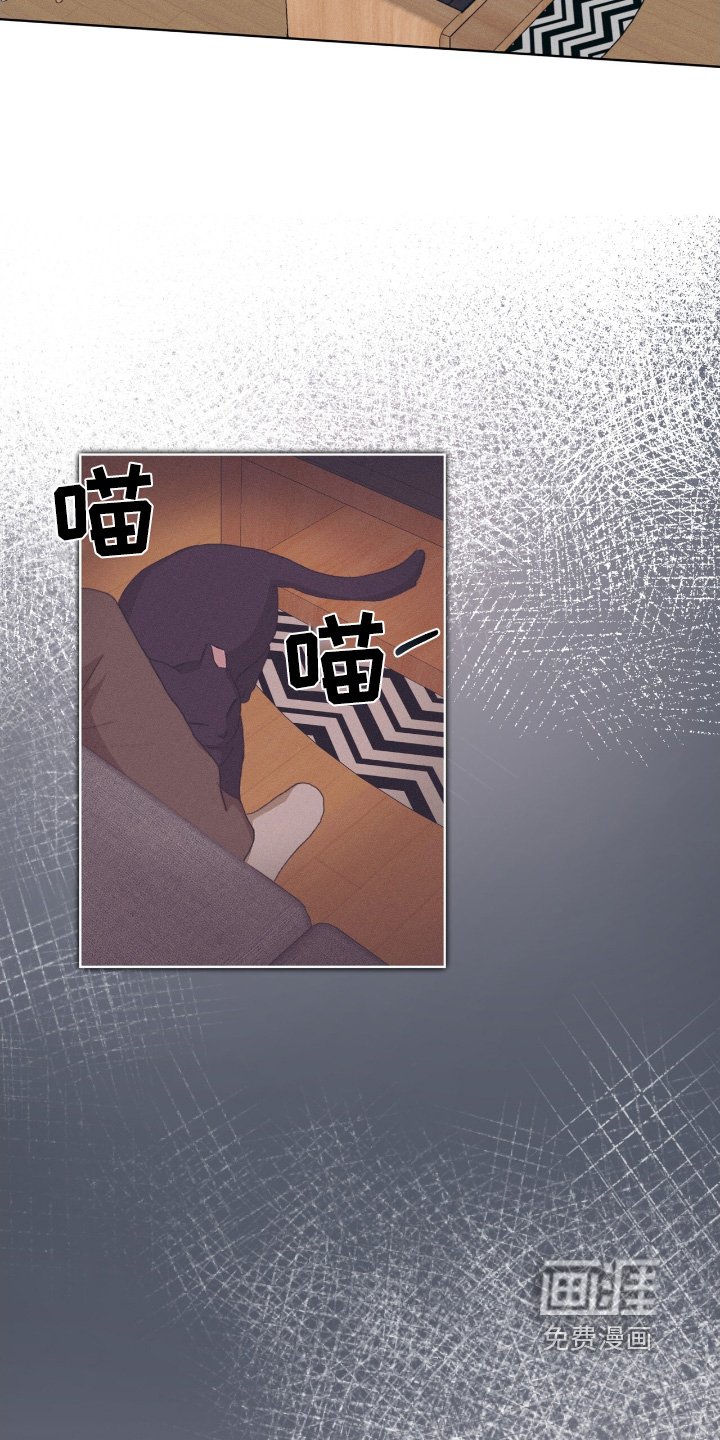 第82章：不去了