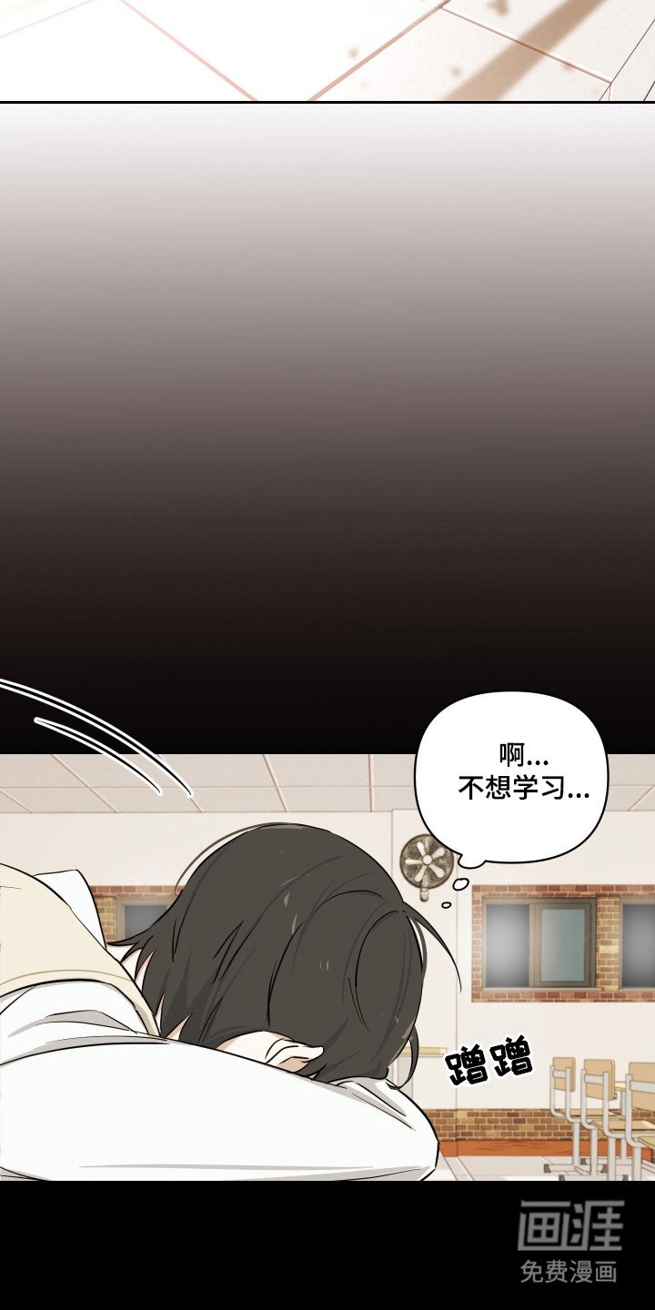第13章：通情达理
